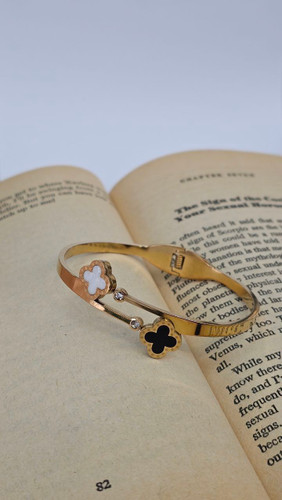 بنگل ونکلیف استیل رنگ ثابت